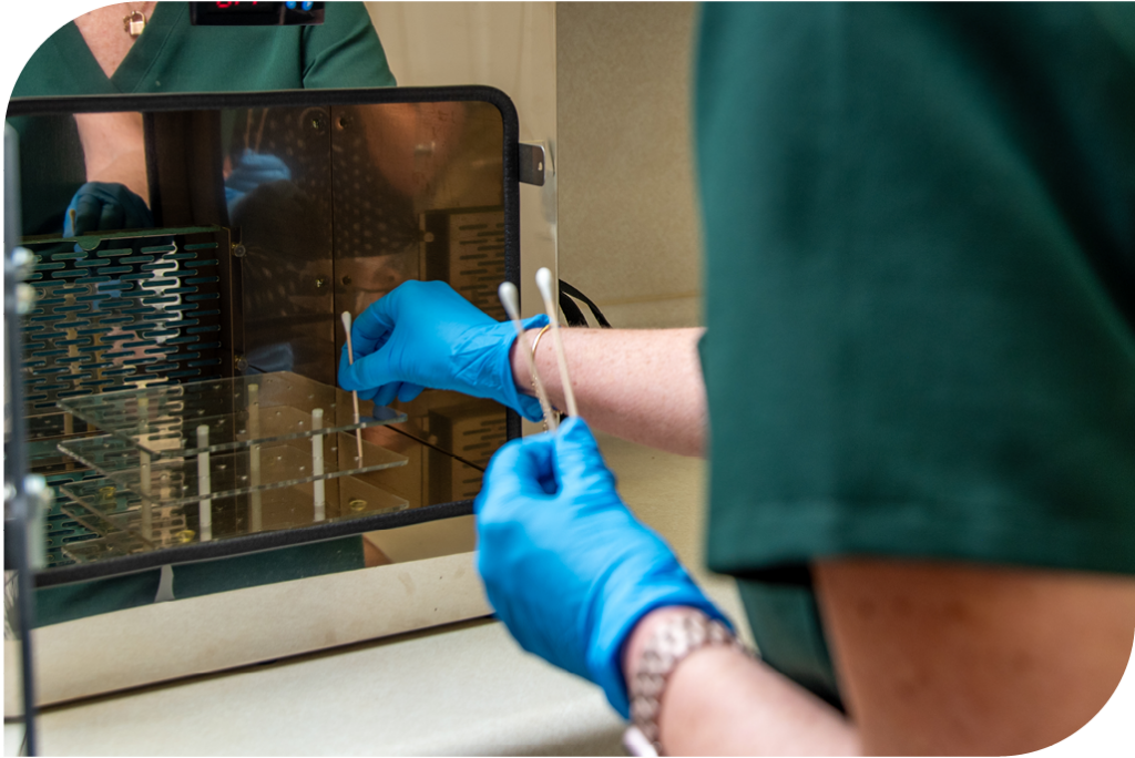 Medical Examination at SARC